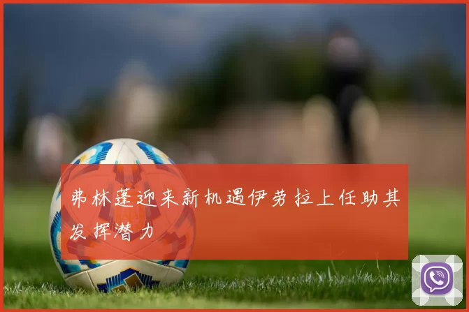 弗林蓬迎来新机遇伊劳拉上任助其发挥潜力